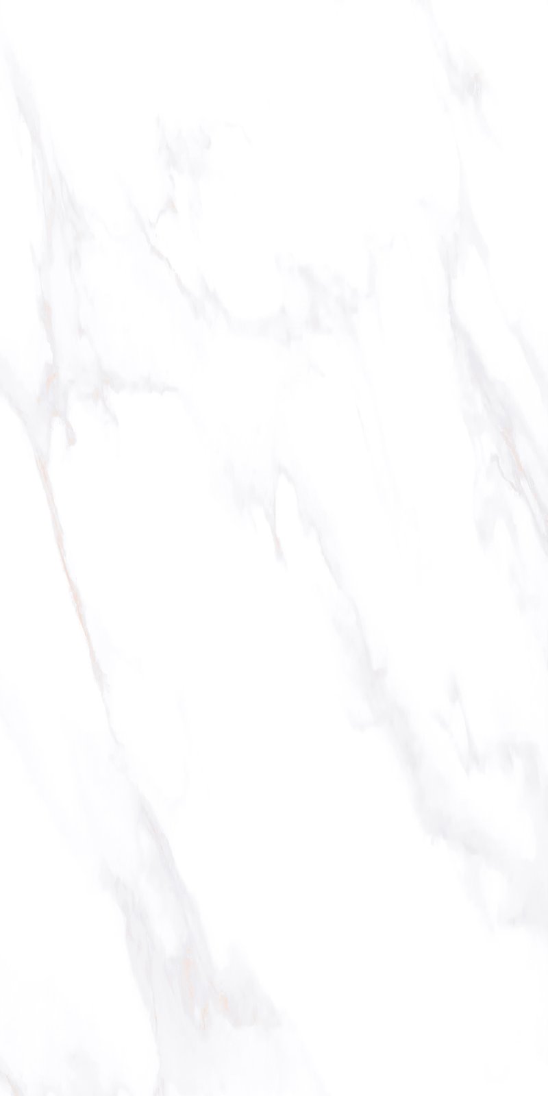 Керамогранит 60x120 PR Vizavi Ceramica (ZA-L12604)