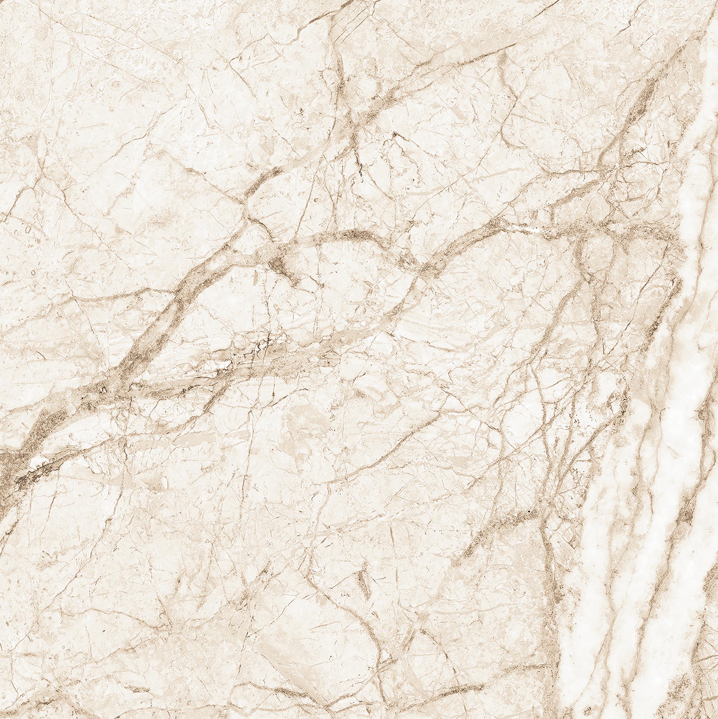 Novum Beige CARVING EMPERO Керамогранит 60x60