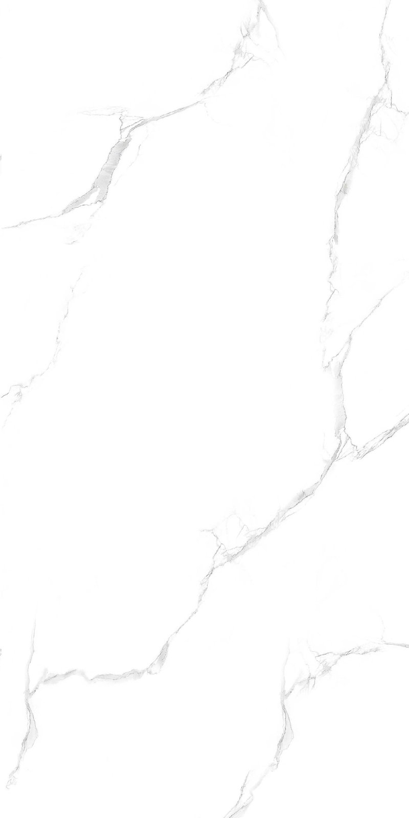 Satuario 60x120 PR Silver Maimoon