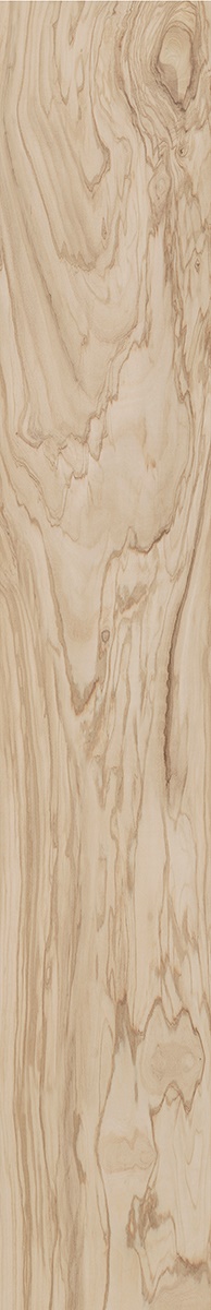Граните Натура 19,5x120 SR Олива Idalgo