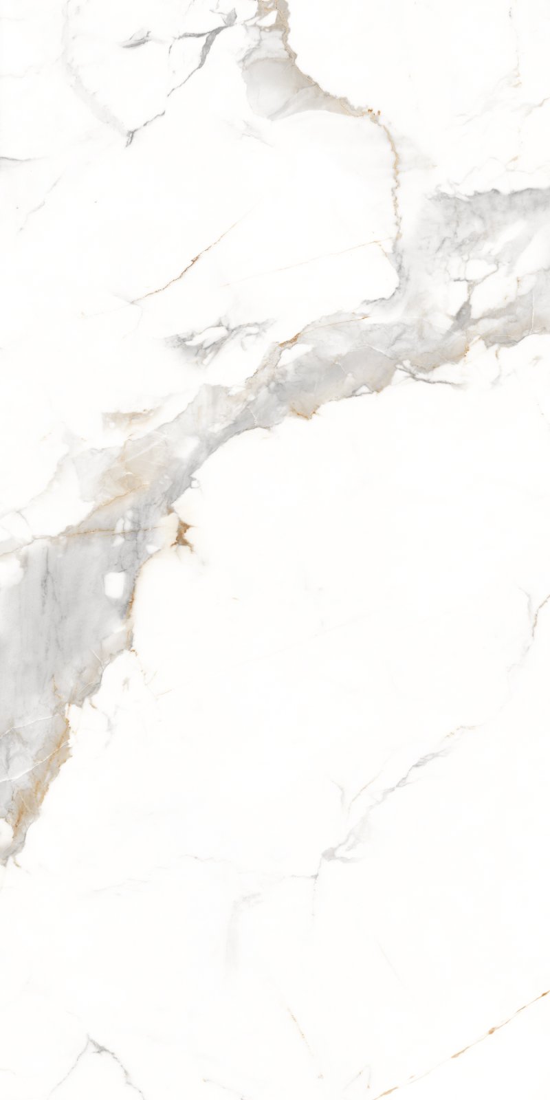 Statuario 60x120 PR Cafe Gold Maimoon