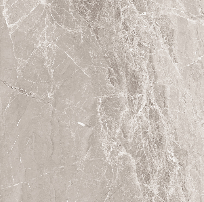 Nostalgic Silver Керамогранит 60х60 Полированный 