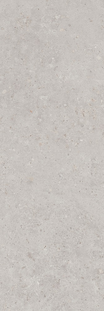 Риккарди серый светлый матовый обрезной 40x120