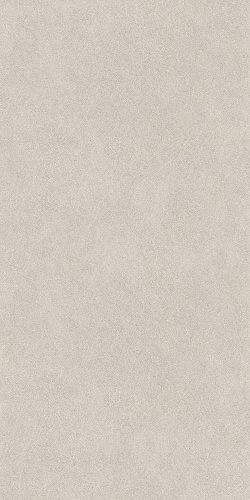 Джиминьяно серый светлый матовый обрезной 60х119,5