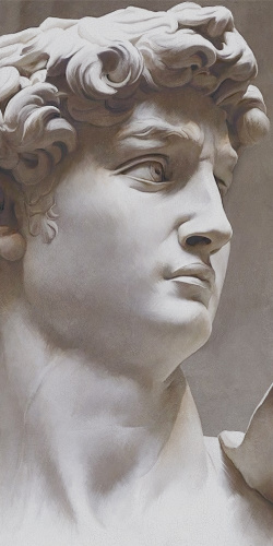 Ковер Давид 2 матовый обрезной 119,5х238,5