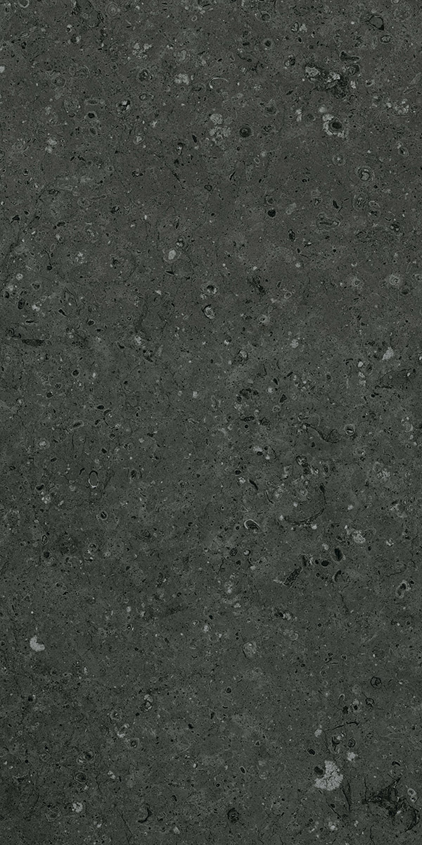 Аркаим 60x120 ГР215 MR Черный Гранитея