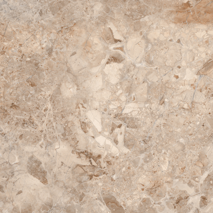 RAINBOL BROWN AZARIO Керамогранит 60x60 Glossy (P110082160G) 