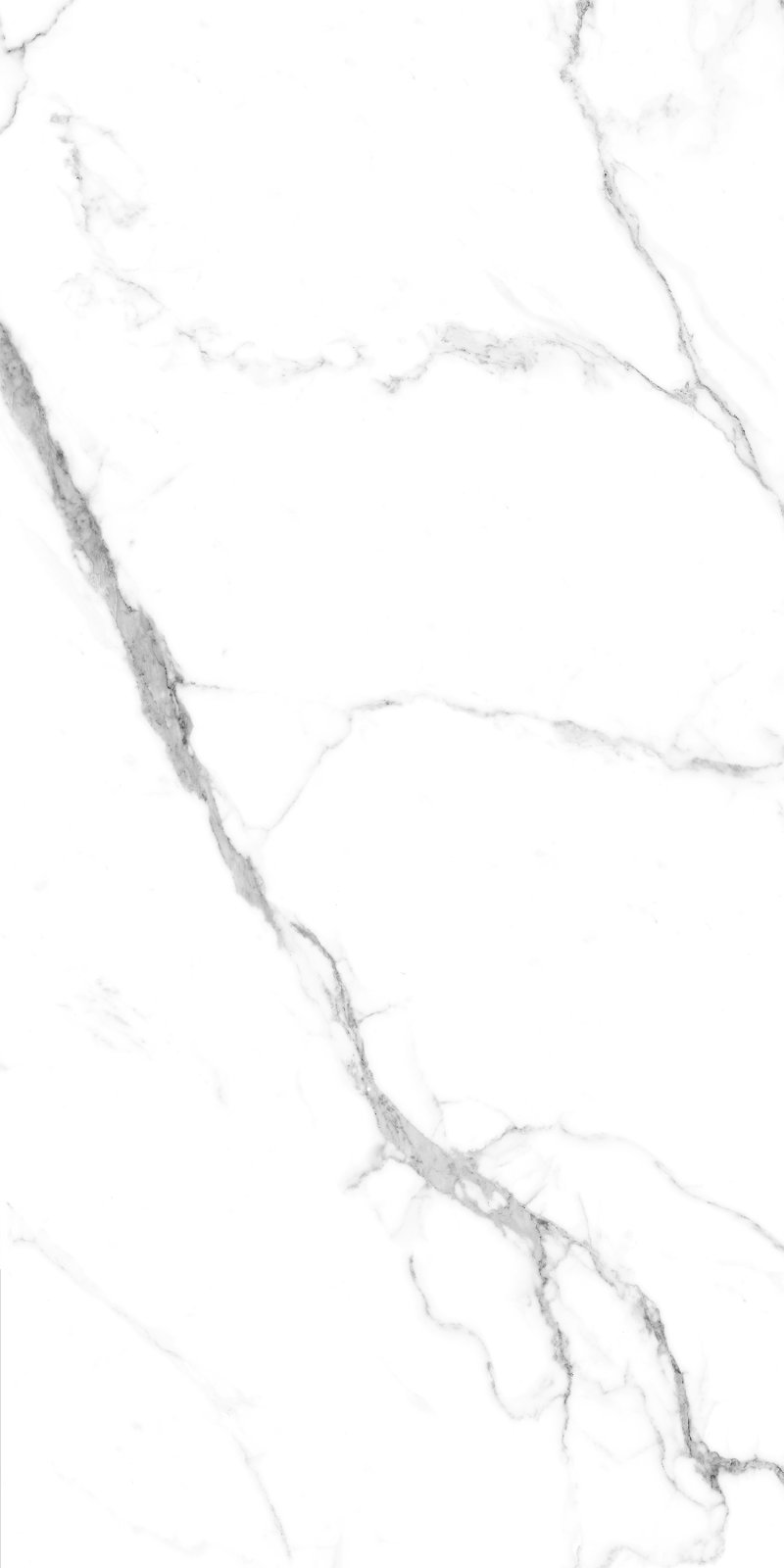 Caribbean 60x120 PR White Maimoon