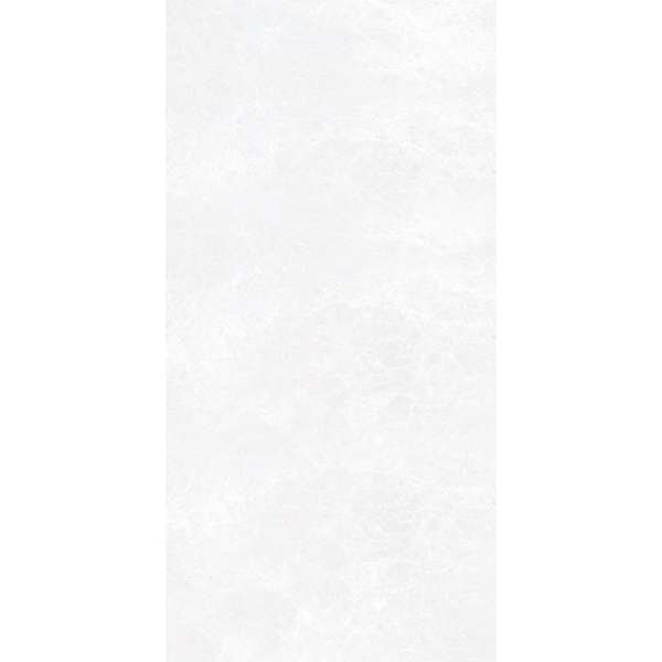 Синара 60x120 G 311 MR Элегантный Керамика будущего