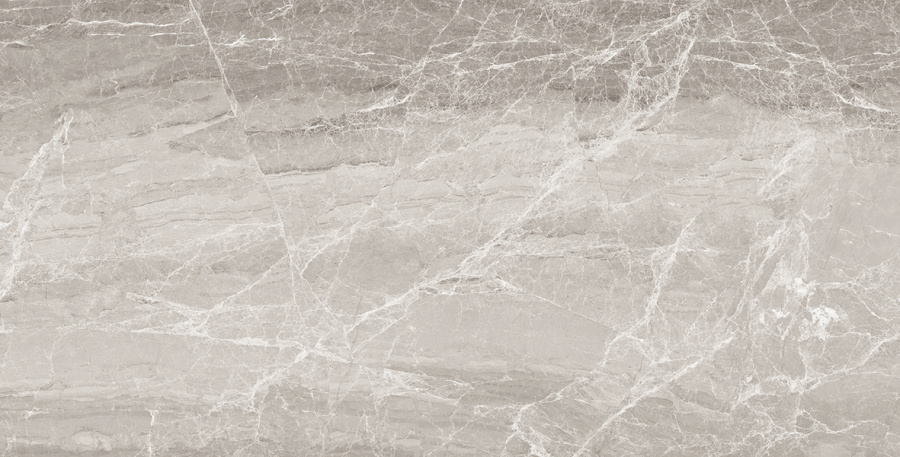 Nostalgic Silver Керамогранит 60х120 Полированный 