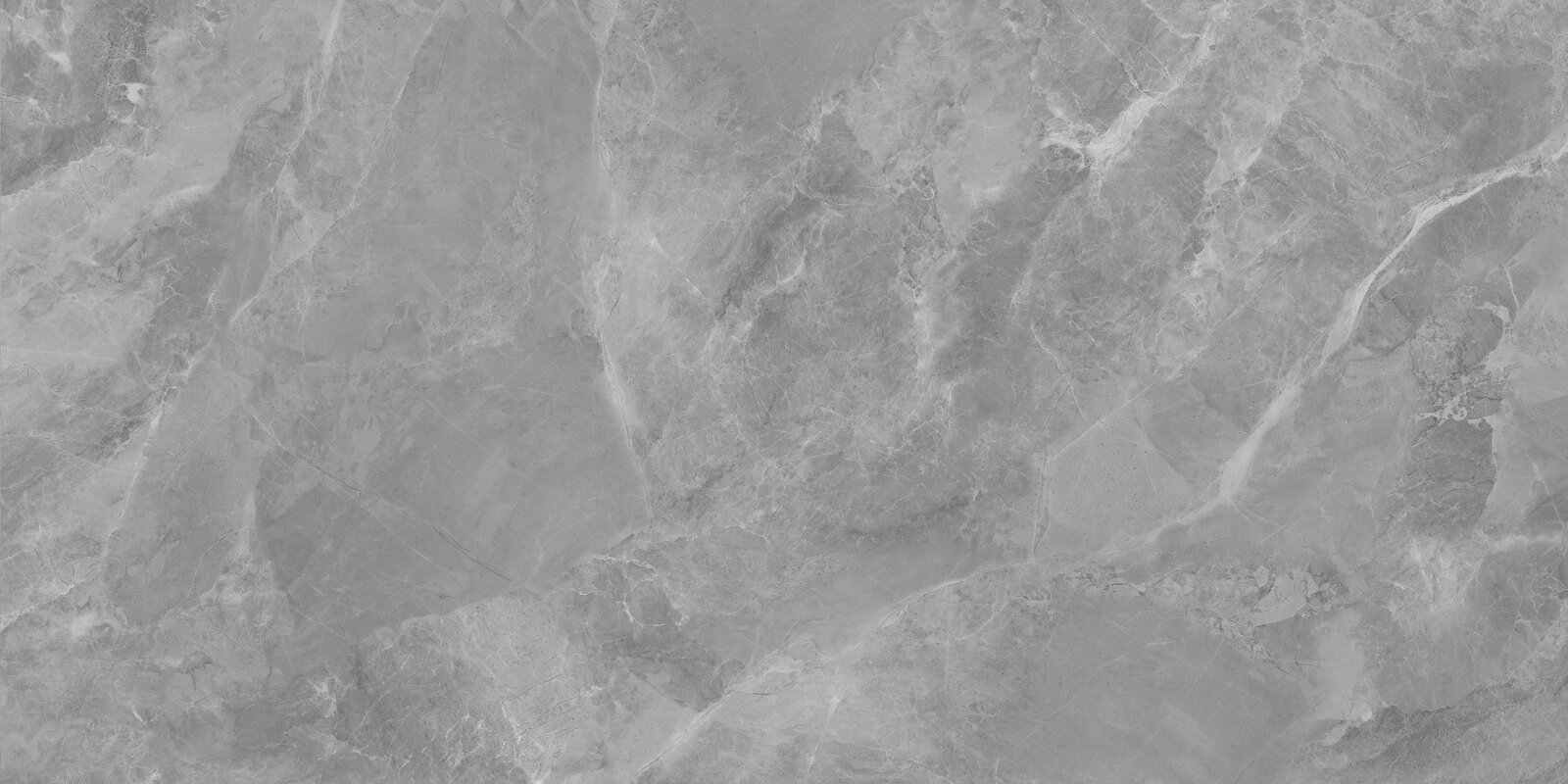 Регнум Гриджио Керамогранит серый 60x120 матовый