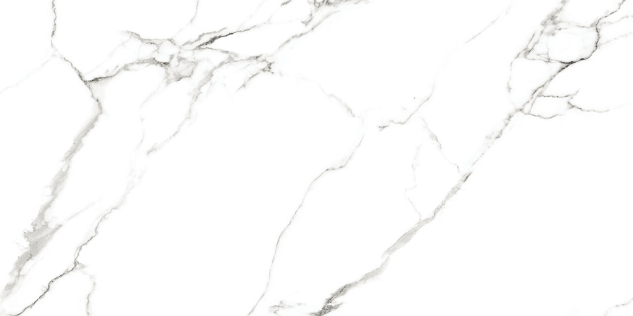 CANOVA WHITE AZARIO Керамогранит 60x120 Sugar (P4110821144) 