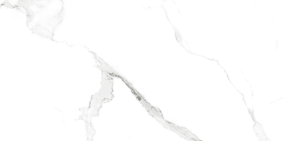 SATVARIO AZARIO Керамогранит 60x120 Glossy (F4110821128G) 