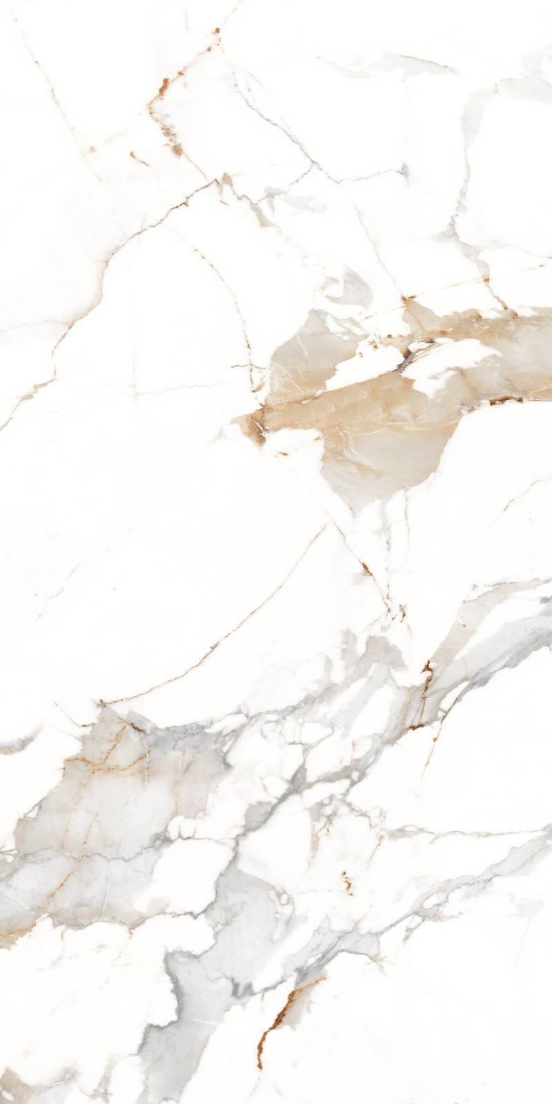 Statuario 60x120 PR Cafe Gold Maimoon