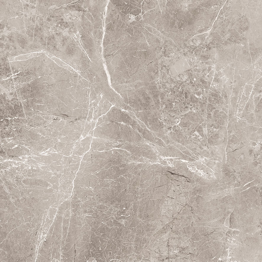 Obsidian Grey Керамогранит 60х60 Матовый 