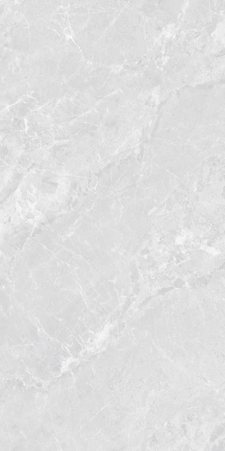 Керамогранит 60x120 PR Vizavi Ceramica (ZA-B12638)