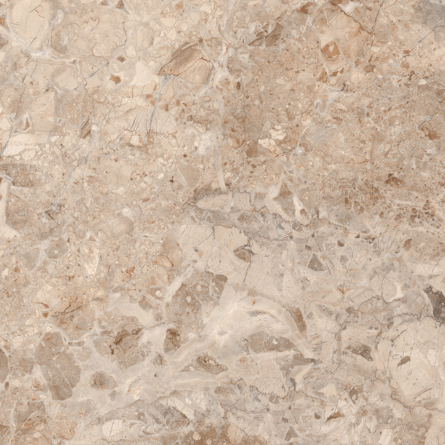 RAINBOL BROWN AZARIO Керамогранит 60x60 Glossy (P110082160G) 