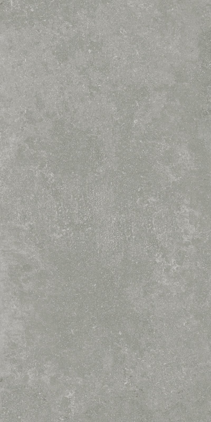 Граните Глория 60x120 SR Серый Idalgo