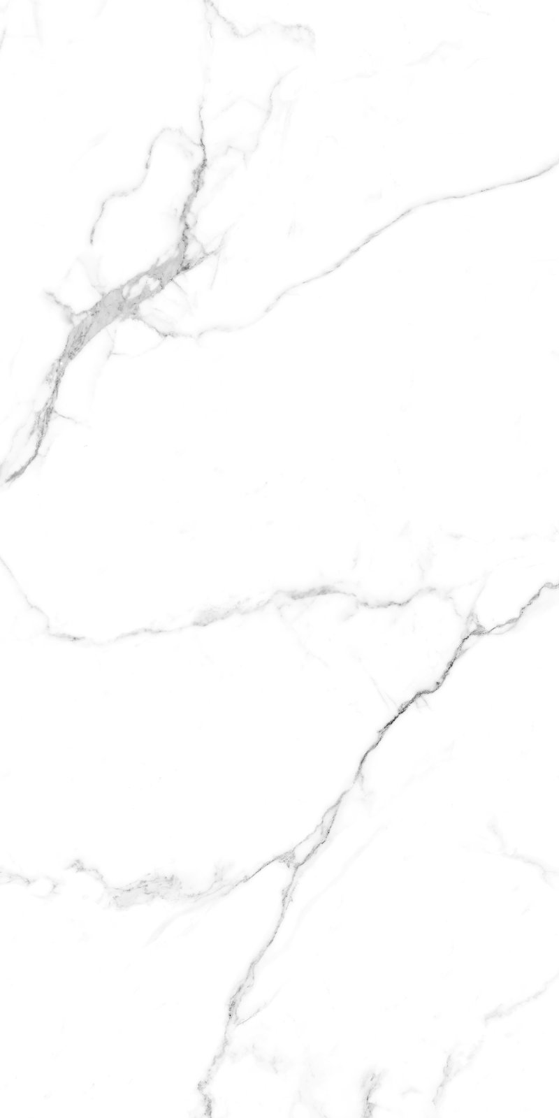 Caribbean 60x120 PR White Maimoon