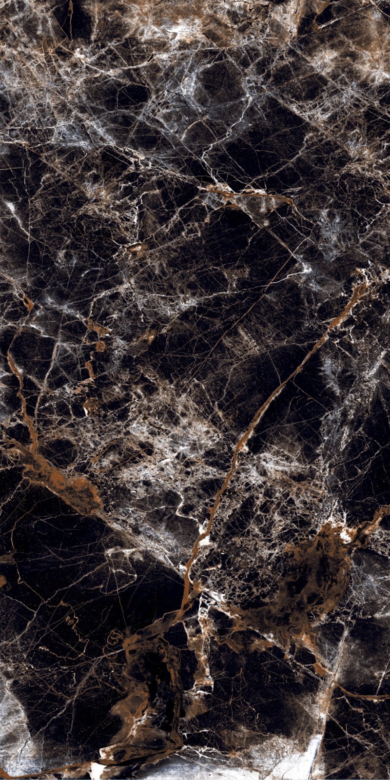 Eternal 60x120 PR Black Maimoon