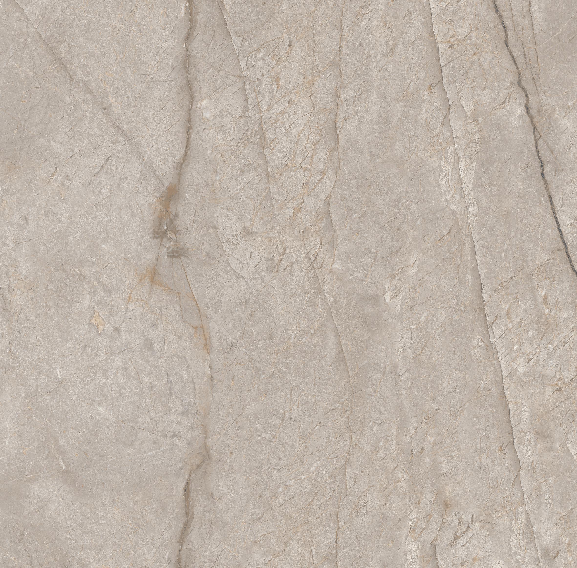 Season Grey CARVING EMPERO Керамогранит 60x60